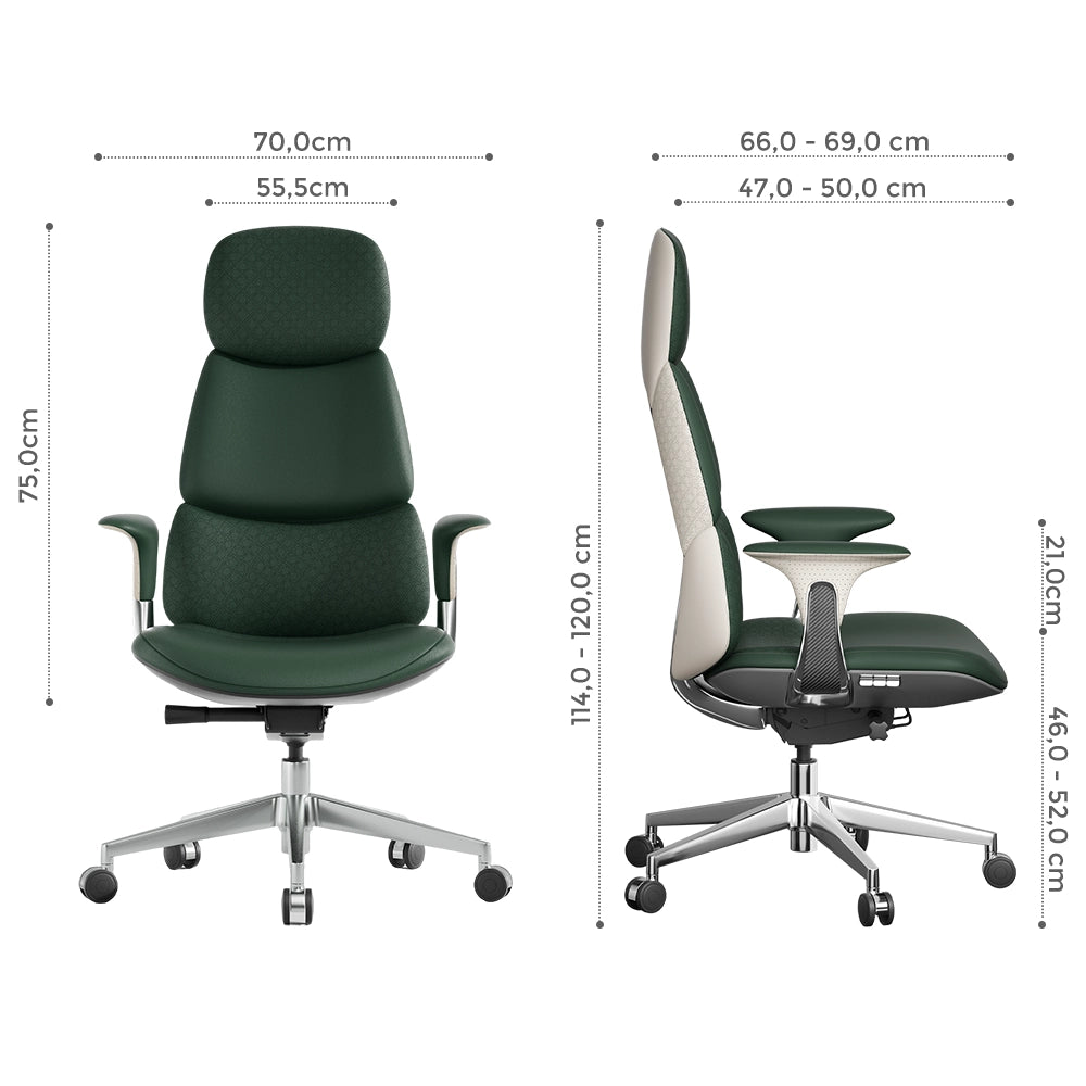 Nolan Lederstuhl mit klassischem Design