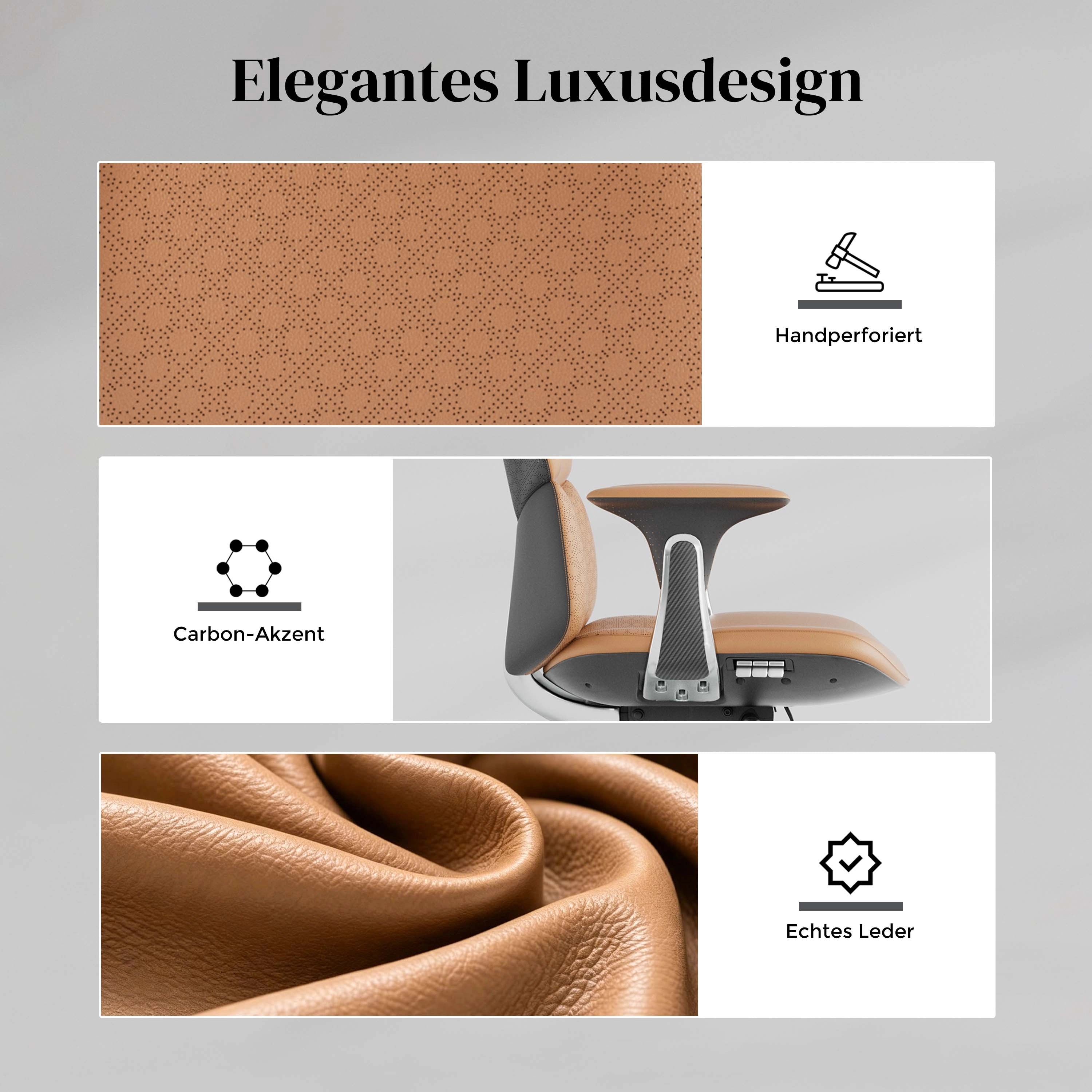 Nolan Lederstuhl mit klassischem Design