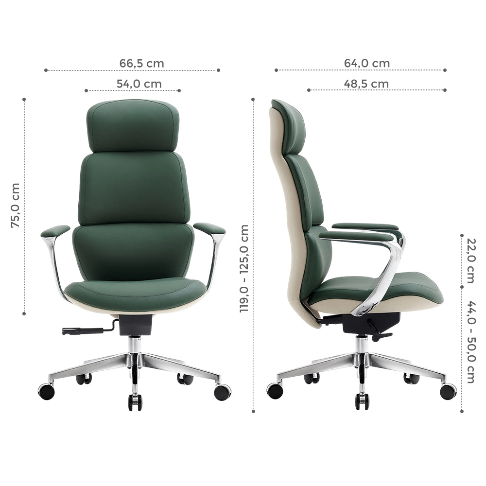 Nolan Lederstuhl mit klassischem Design