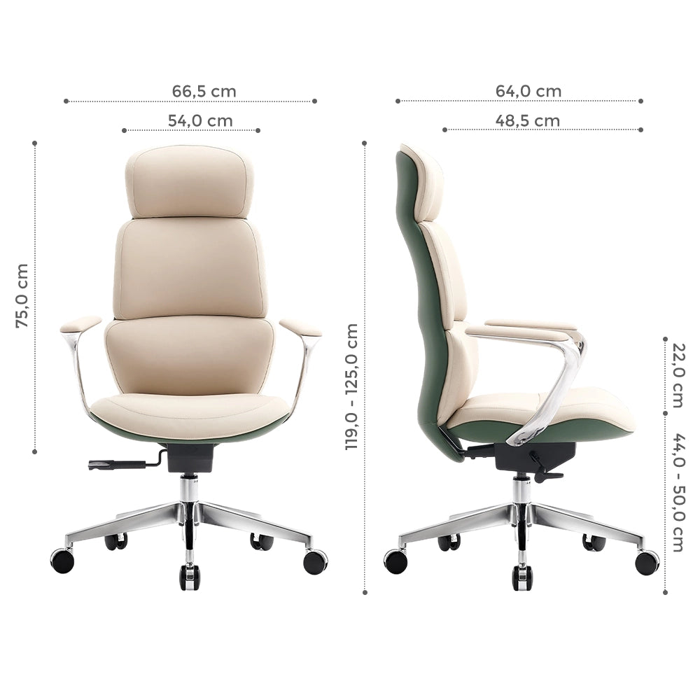 Nolan Lederstuhl mit klassischem Design