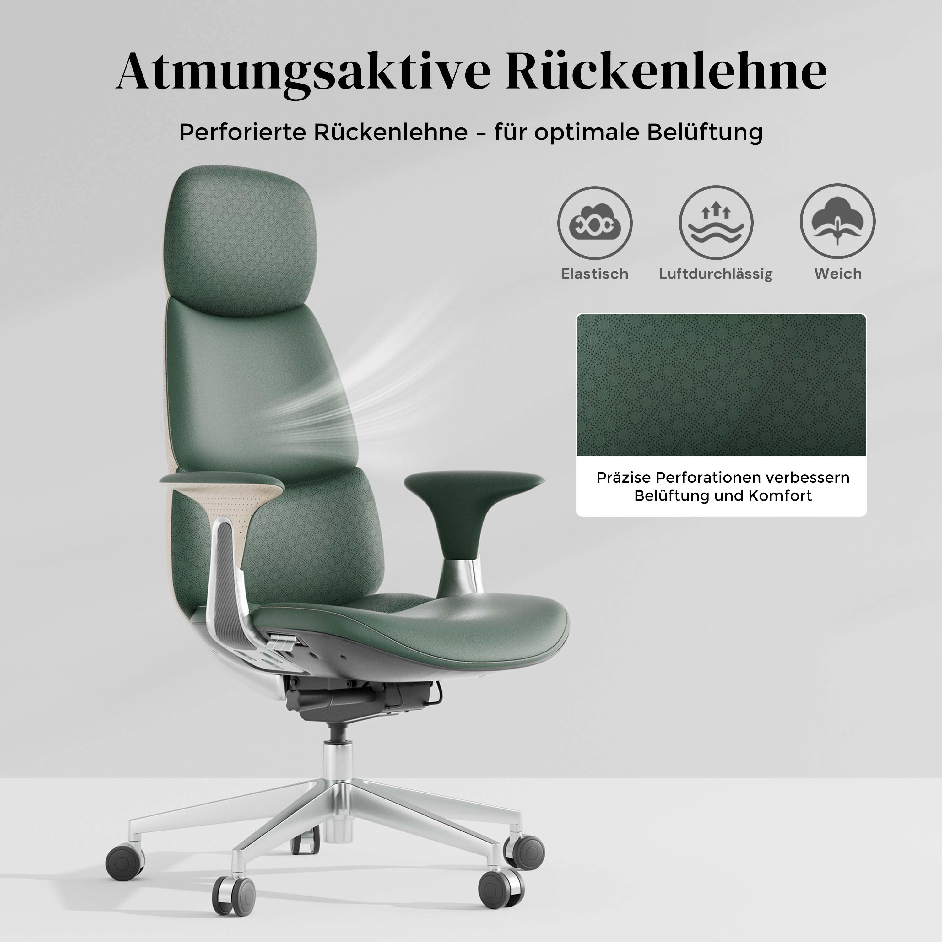 Nolan Lederstuhl mit klassischem Design